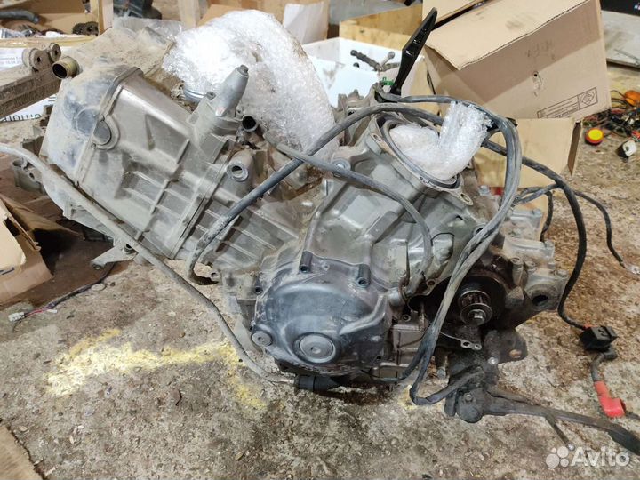 Запчасти разбор двигателя Honda VTR 1000 f 1999