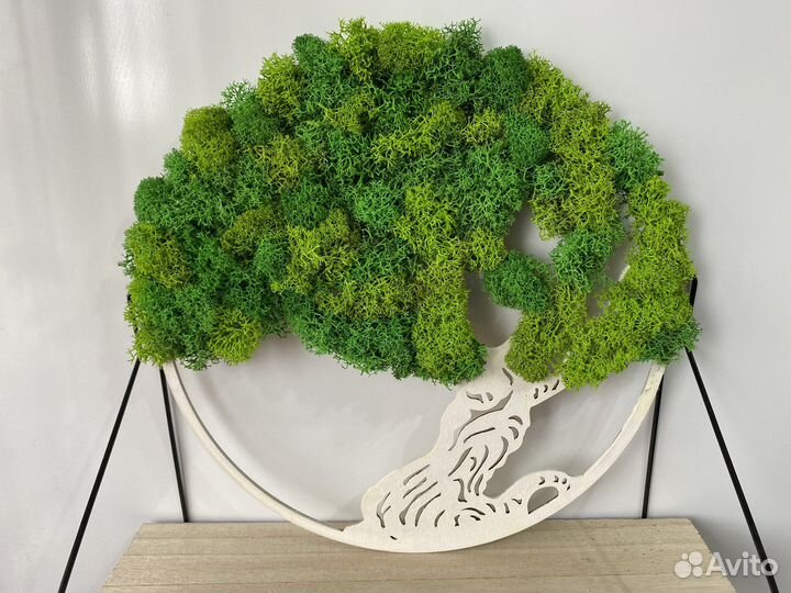 Флорариум, мох стабилизированный,декор, пано