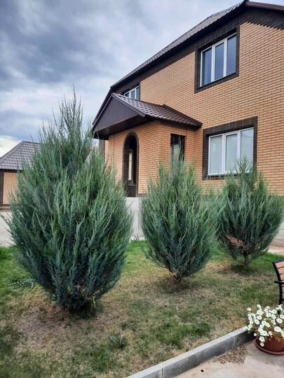 Коттедж 201,9 м² на участке 10,55 га