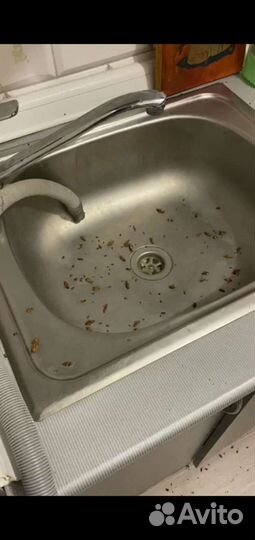 Средство от тараканов usa