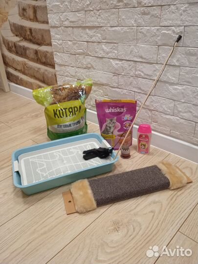 Когтеточка,лоток,шампунь,игрушка,корм,наполнитель