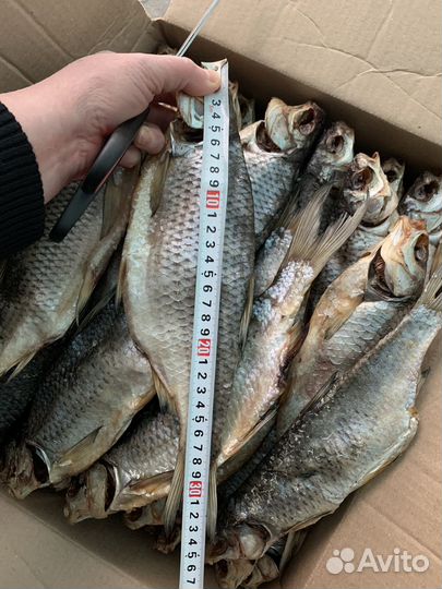 Астраханская Вобла с икрой