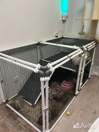 Вольер для котят и кошек OctCat модульный