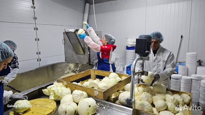 Капуста квашеная