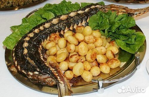 Живая рыба осетринка доставка