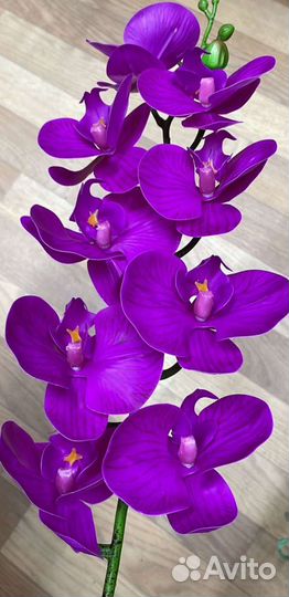 Орхидеи силиконовые, листья орхидеи