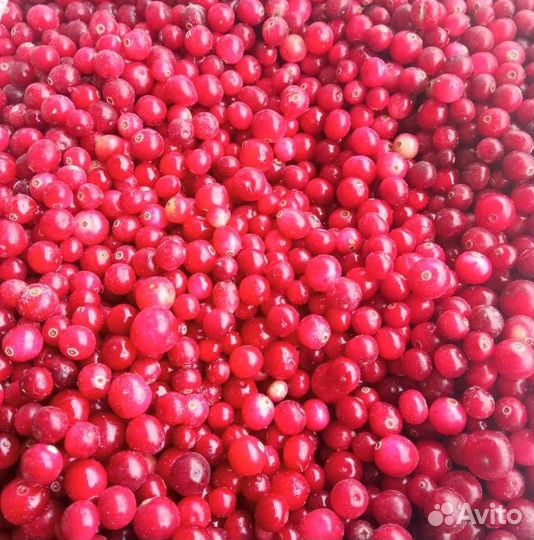 Ягоды и фрукты замороженные с доставкой