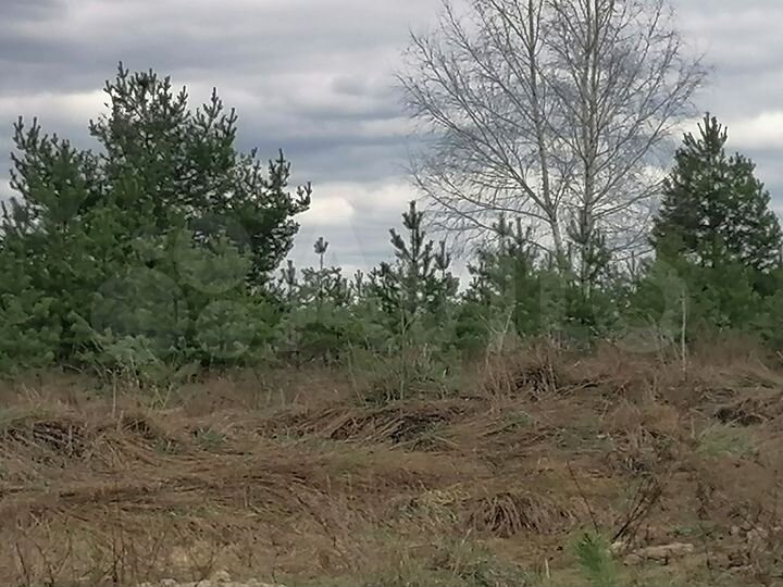 Участок 15 сот. (ИЖС)