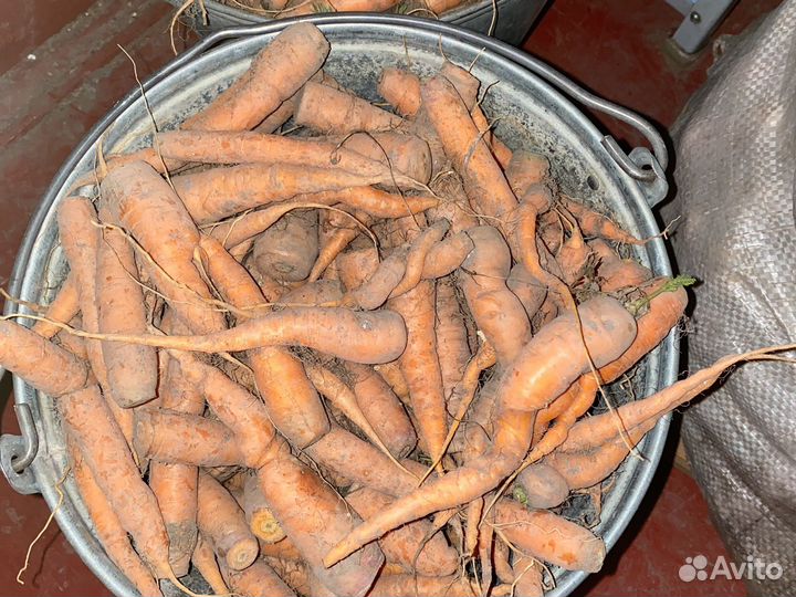 Мелкий картофель