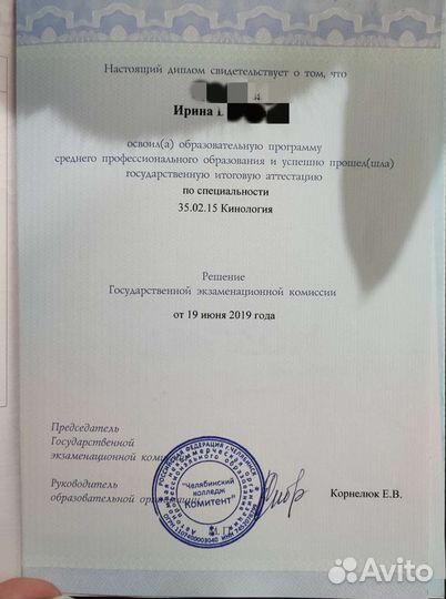 Услуги кинолога (специалист по поведению собак)