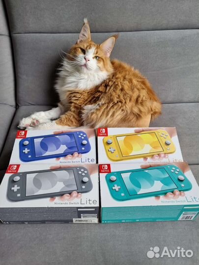 Новая прошитая чипом Nintendo Switch Lite