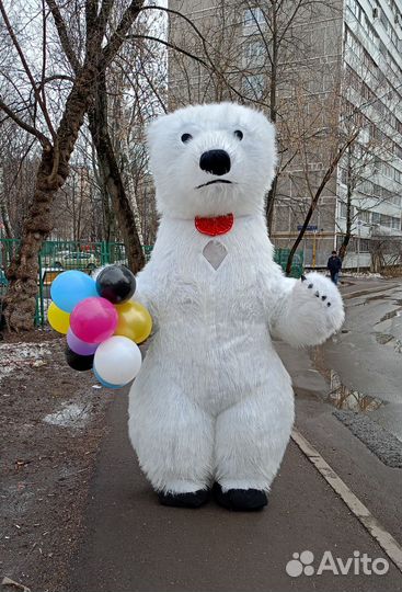 Белый мишка поздравление Кинг Конг Чебурашка