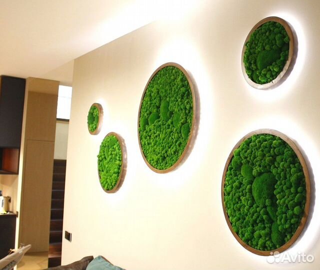 Мох Стабилизированный Круги Панно