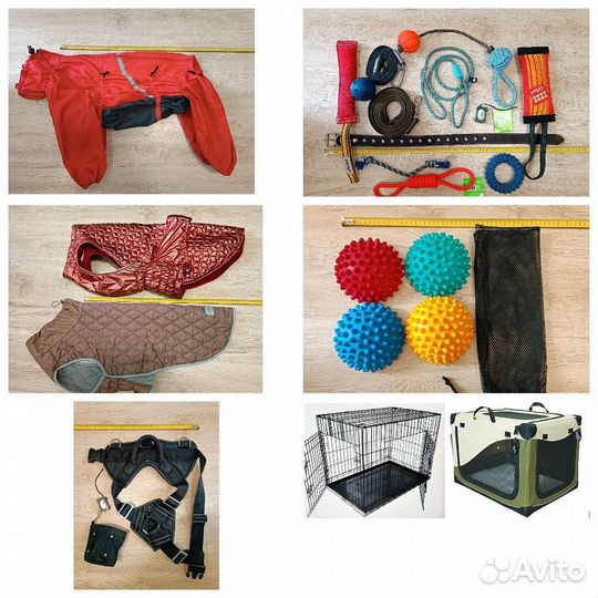 Жилет, шлейка, клетка, ошейник, игрушки для собак
