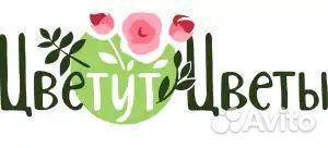 Продавец консультант в магазин цветов