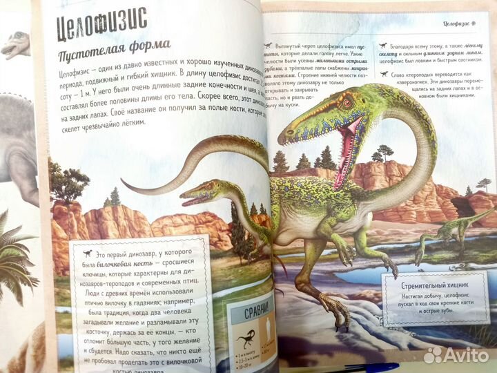 Динозавры книга детская