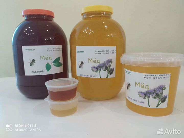 Мëд натуральный со своей пасеки: разные виды