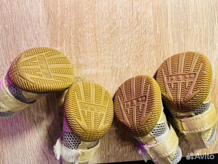 Ботинки для маленьких собак