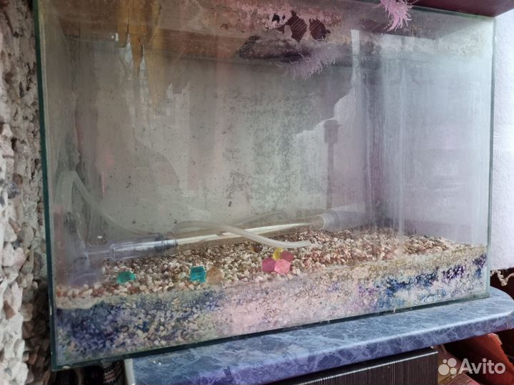 Аквариум