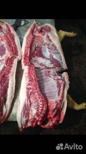 Домашняя свинина живым весом и мясом