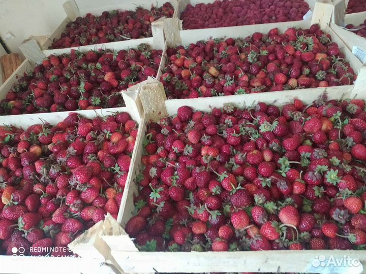 Бесплатная доставка