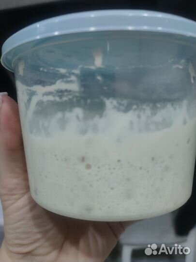 Бездрожжевая пшеничная закваска