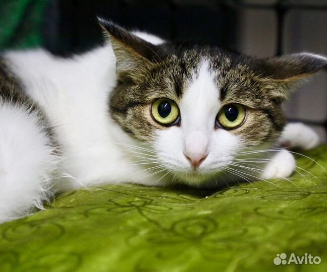 Лея ищет маму и папу