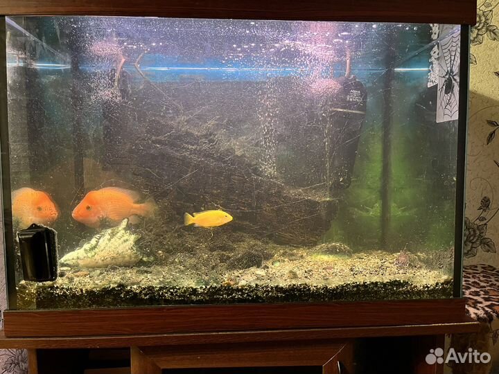 Аквариум с тумбой
