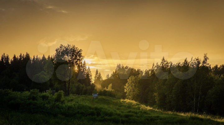 Участок 8,5 сот. (СНТ, ДНП)