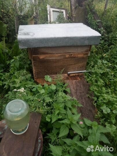 Ульи с пчелами