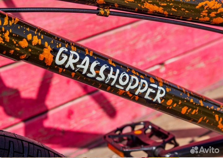 BMX Tech Team Grasshopper 20