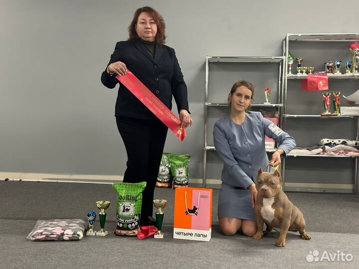 Услуги хендлера