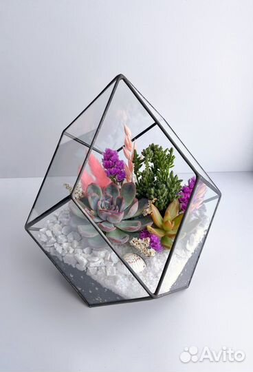 Флорариум Лотос