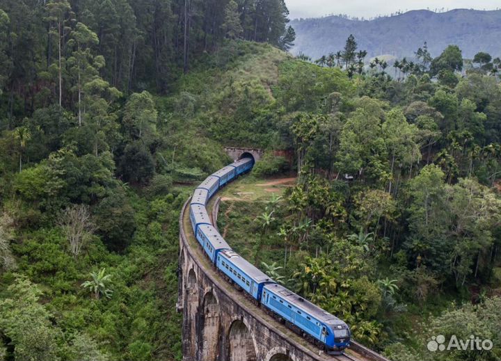 Путешествие на Шри-Ланку от 1-го чел