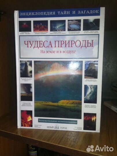 Дивный свет Александра Романова