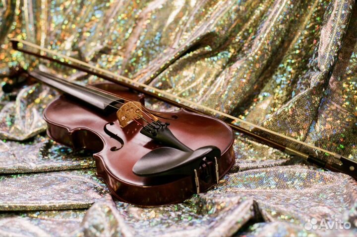 Скрипка 4/4 аренда посуточно