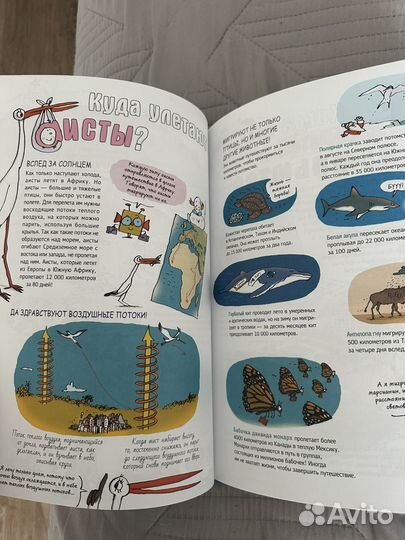 Наука не скука книга