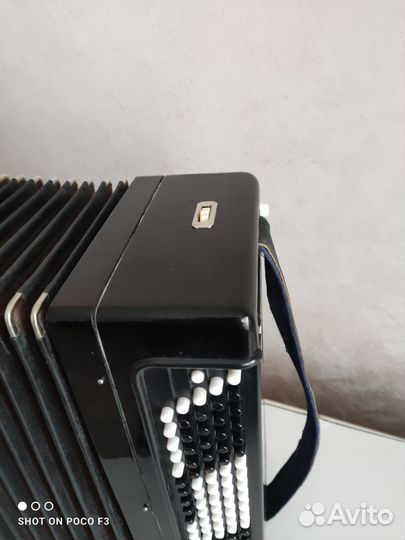 Баян Тула 202