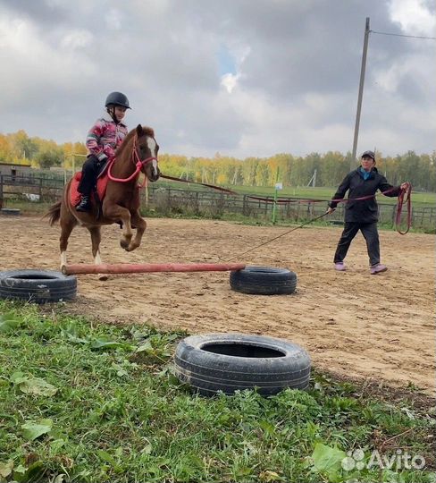 Конные прогулки, обучение верховой езде