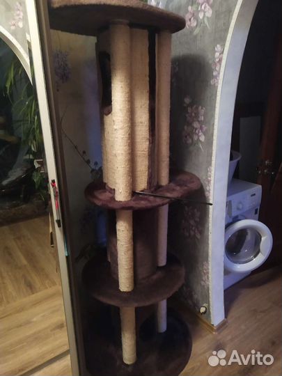 Когтеточка