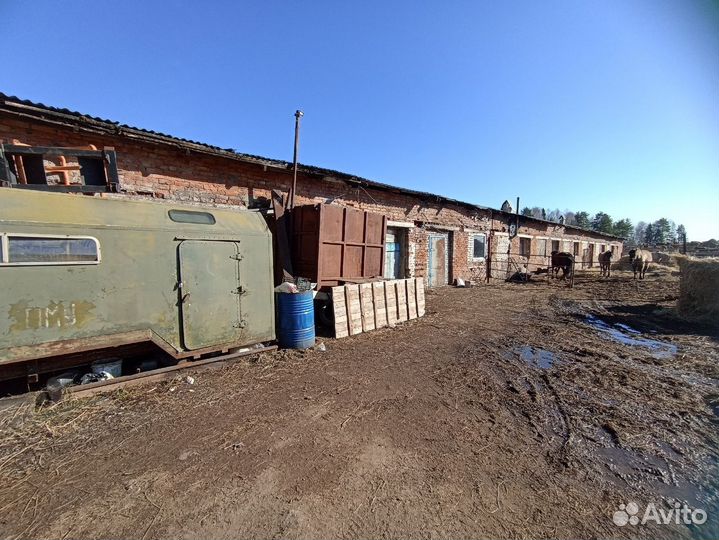 Животноводческая ферма продаю