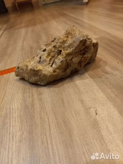 Камень ракушечник