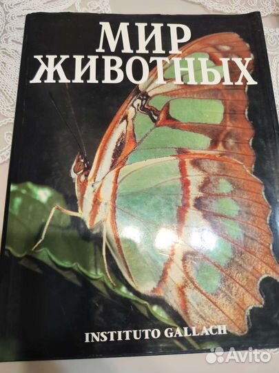 Энциклопедия