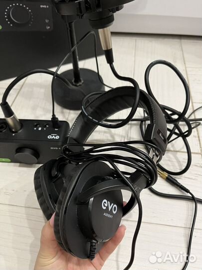 Микрофон со звуковой картой audient Evo 4