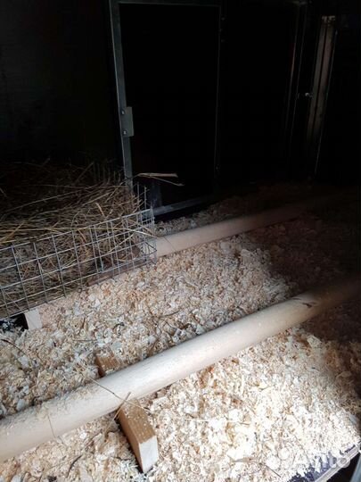 Домик для кур