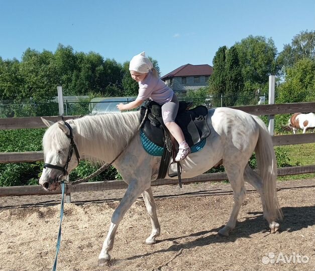 Обучение верховой езде, выезд на праздник