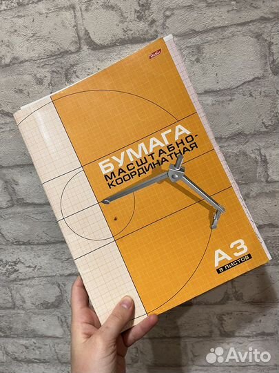 Масштабно-координатная бумага а3