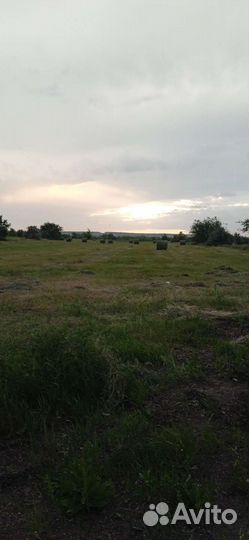 Сено в тюках и рулонах-укос 2023года