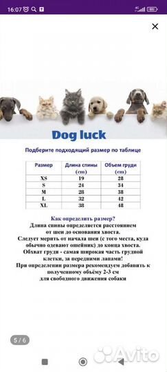 Платье для собак мелких пород