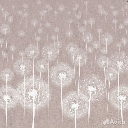 Дизайнерские фотообои 